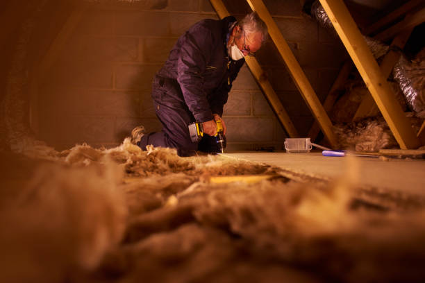 Best Types of Insulation in Lennox, CA