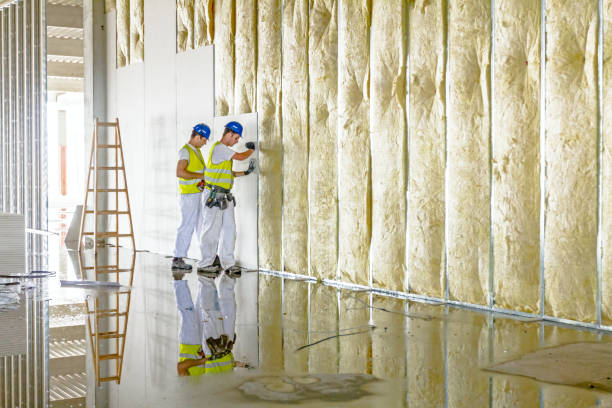 Best Commercial Insulation in Lennox, CA